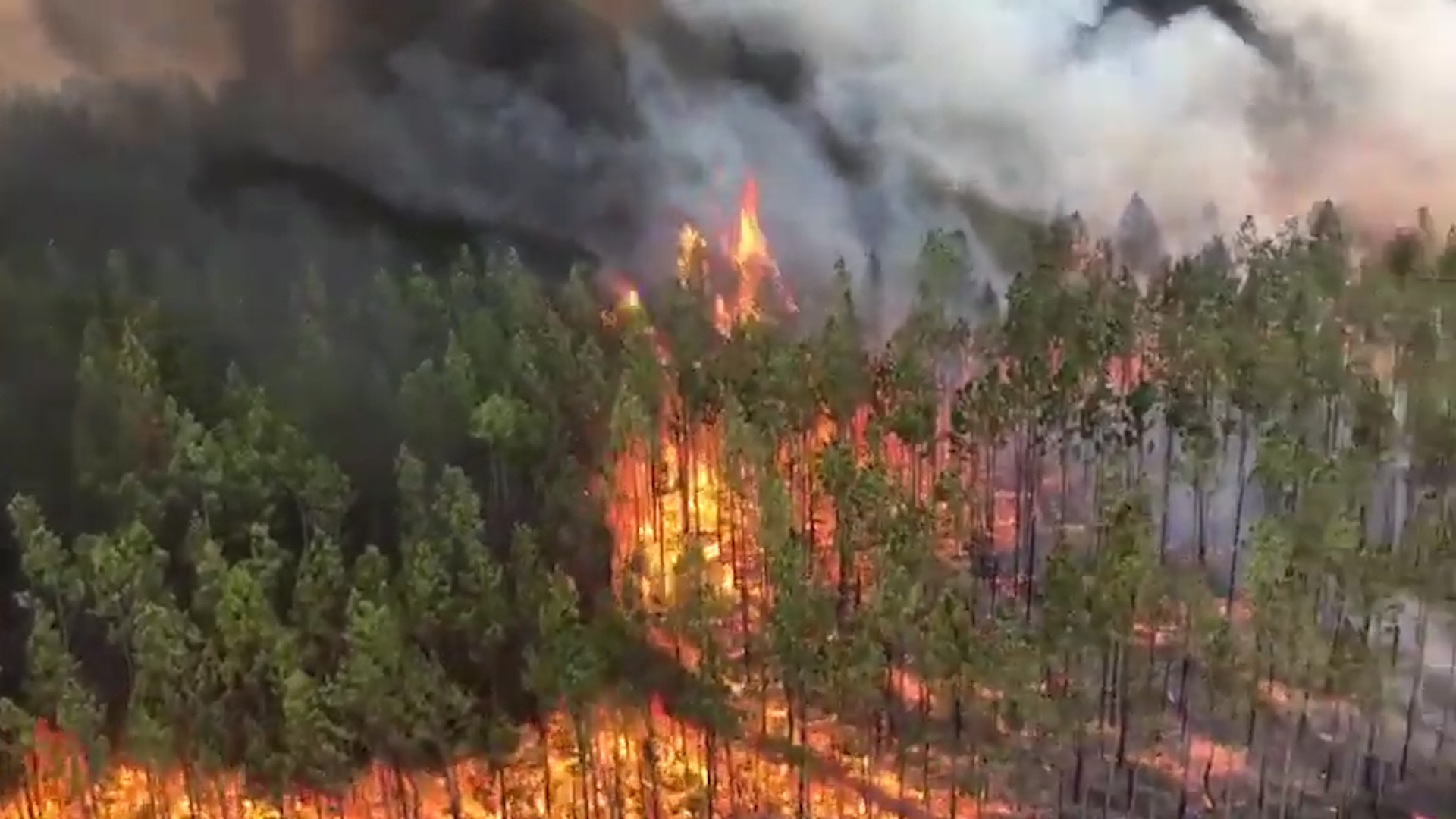 Australia braces for bush fire crisis to escalate through the weekend - The  Washington Post