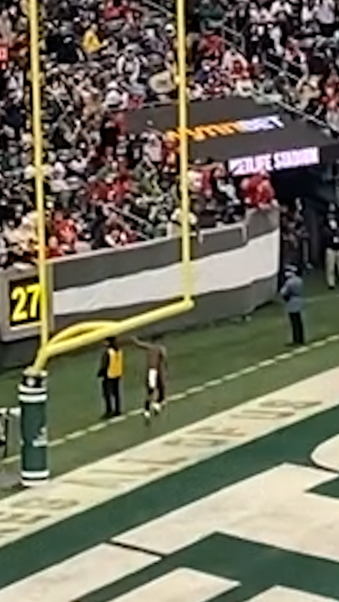 NFL's Antonio Brown Removes Jersey During Game Exit