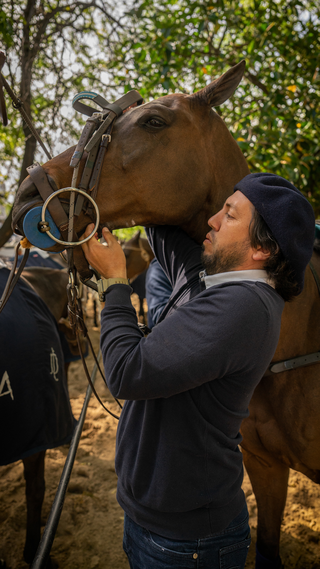 How cloned horses are changing the game of polo