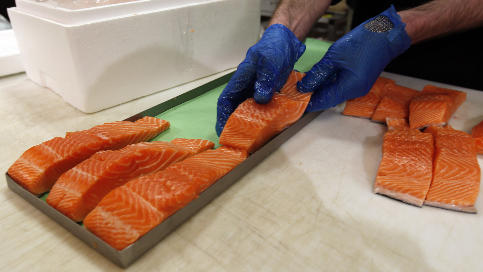 маркировка морепродуктов. этикетка рыба мороженая. магазин рыбы и морепродуктов. маркировка рыбы и рыбных товаров. значки маркировки морской продукции.