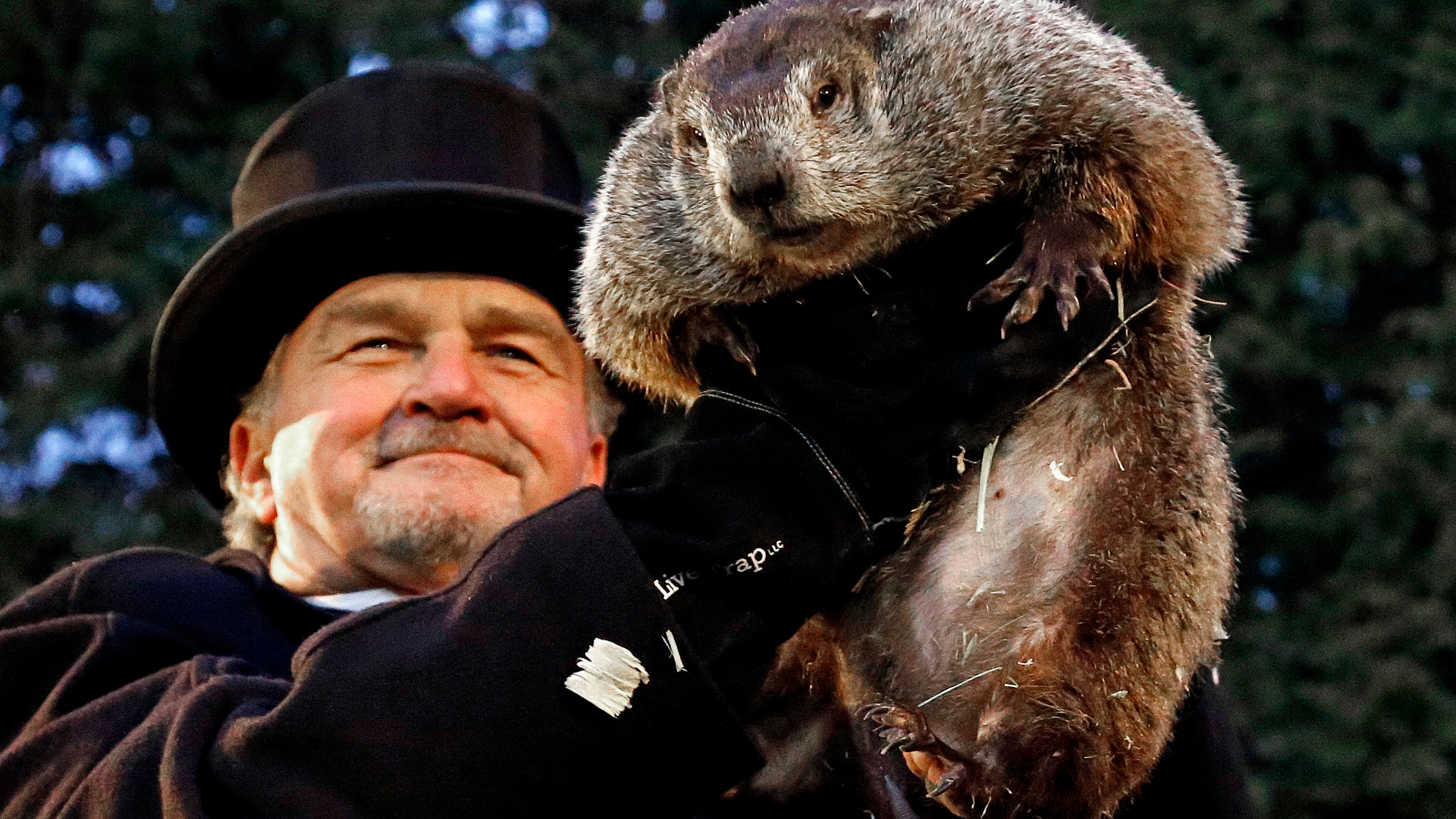 Groundhog Day 2018: Punxsutawney Phil spots shadow and forecasts