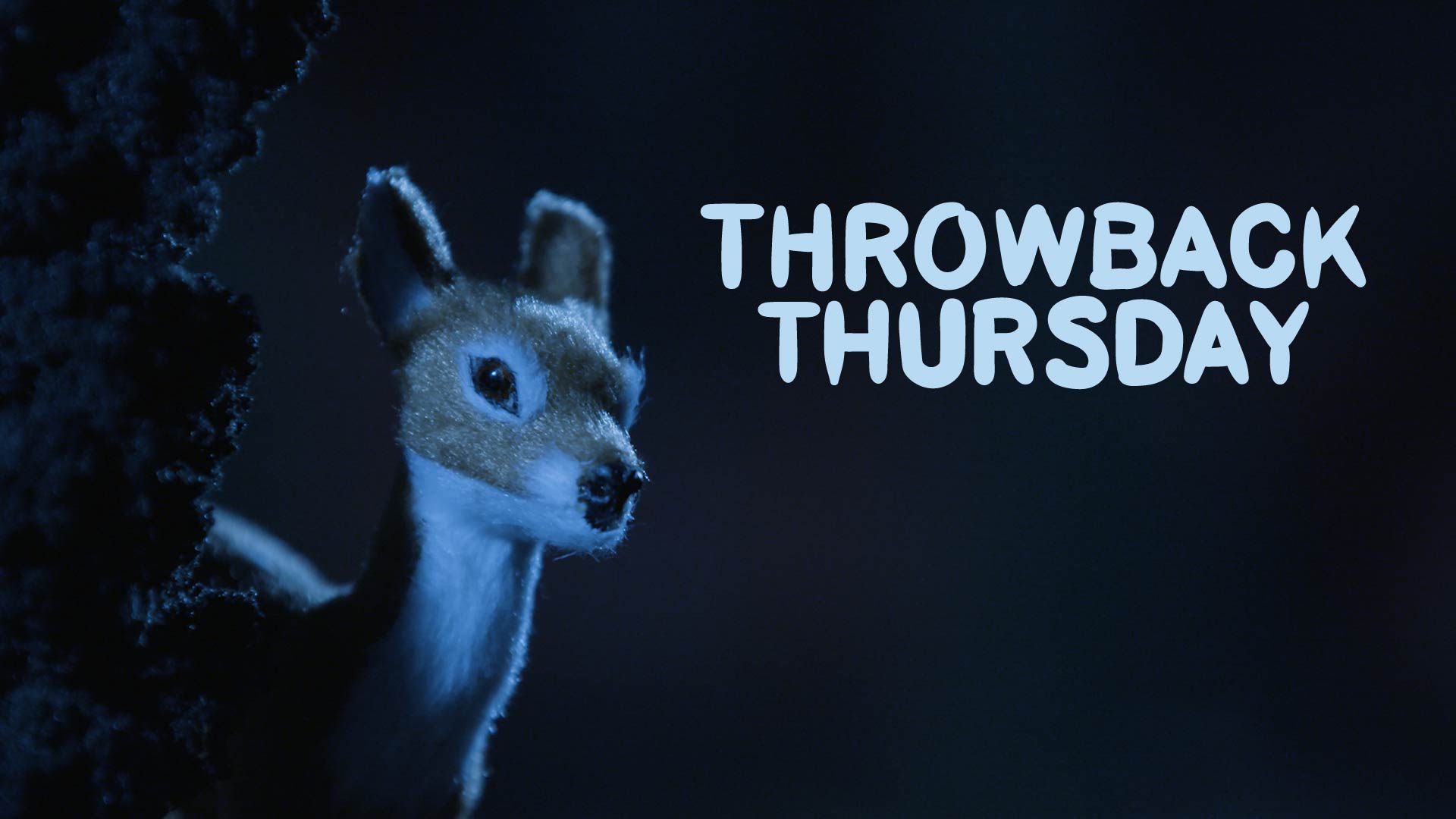 Anna Rothschild The Washington Post