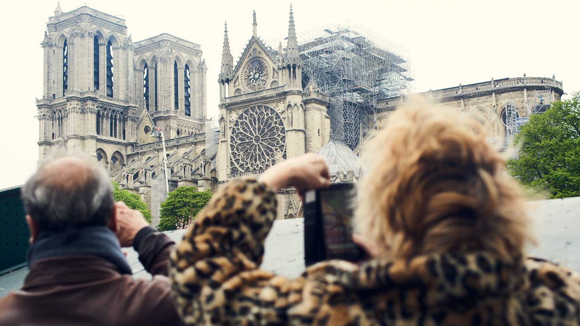 Collector Bernard Arnault to Give $226 M. to Notre-Dame Rebuilding