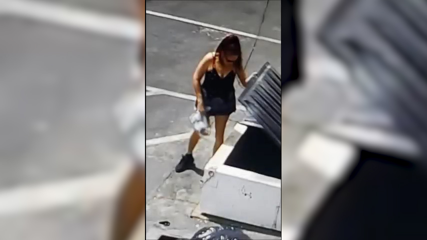 Coachella puppies: Debbie Culwell arrested after tossing seven puppies in a  dumpster, authorities say - The Washington Post