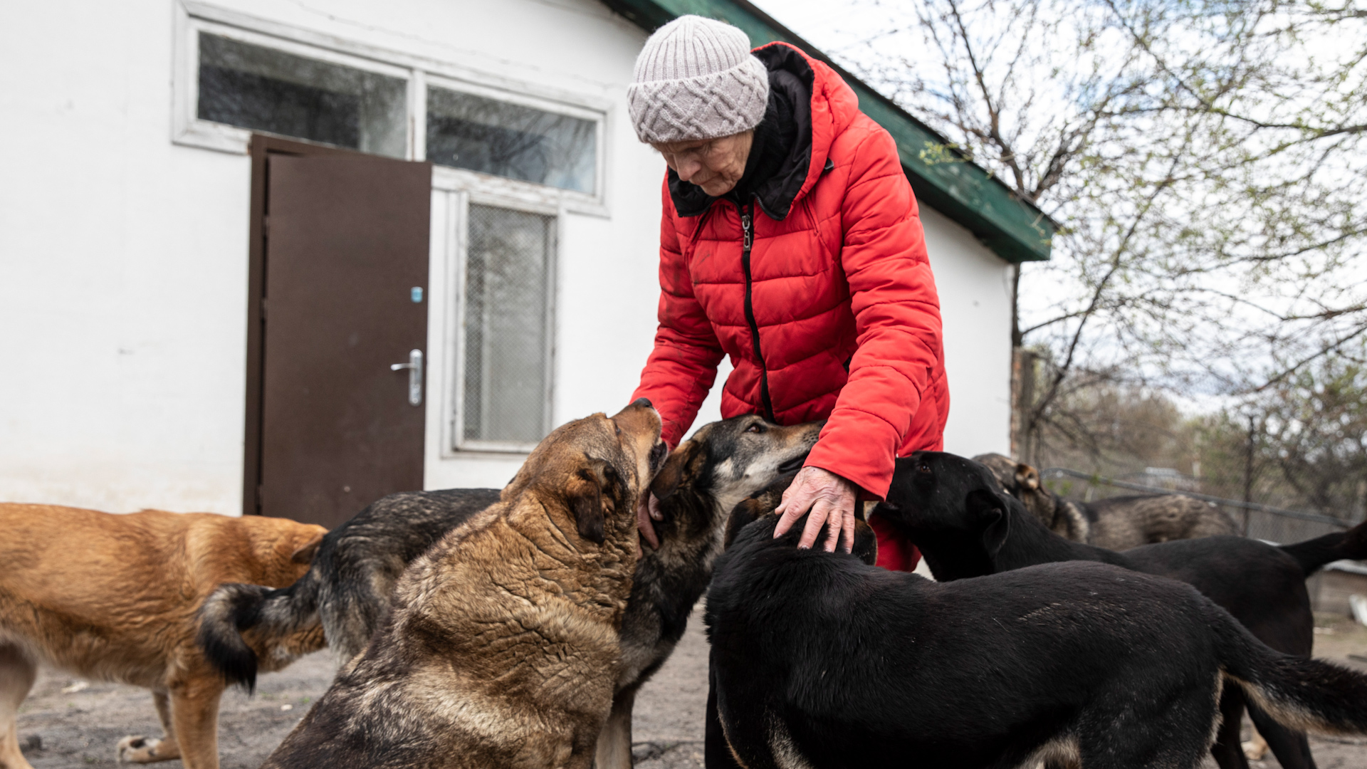 Ukrainian woman saves hundreds of animals during Russian invasion