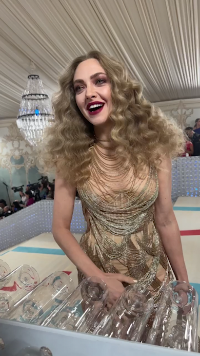 Amanda Seyfried Wears Bedazzled Bra for Red Carpet Date Night with