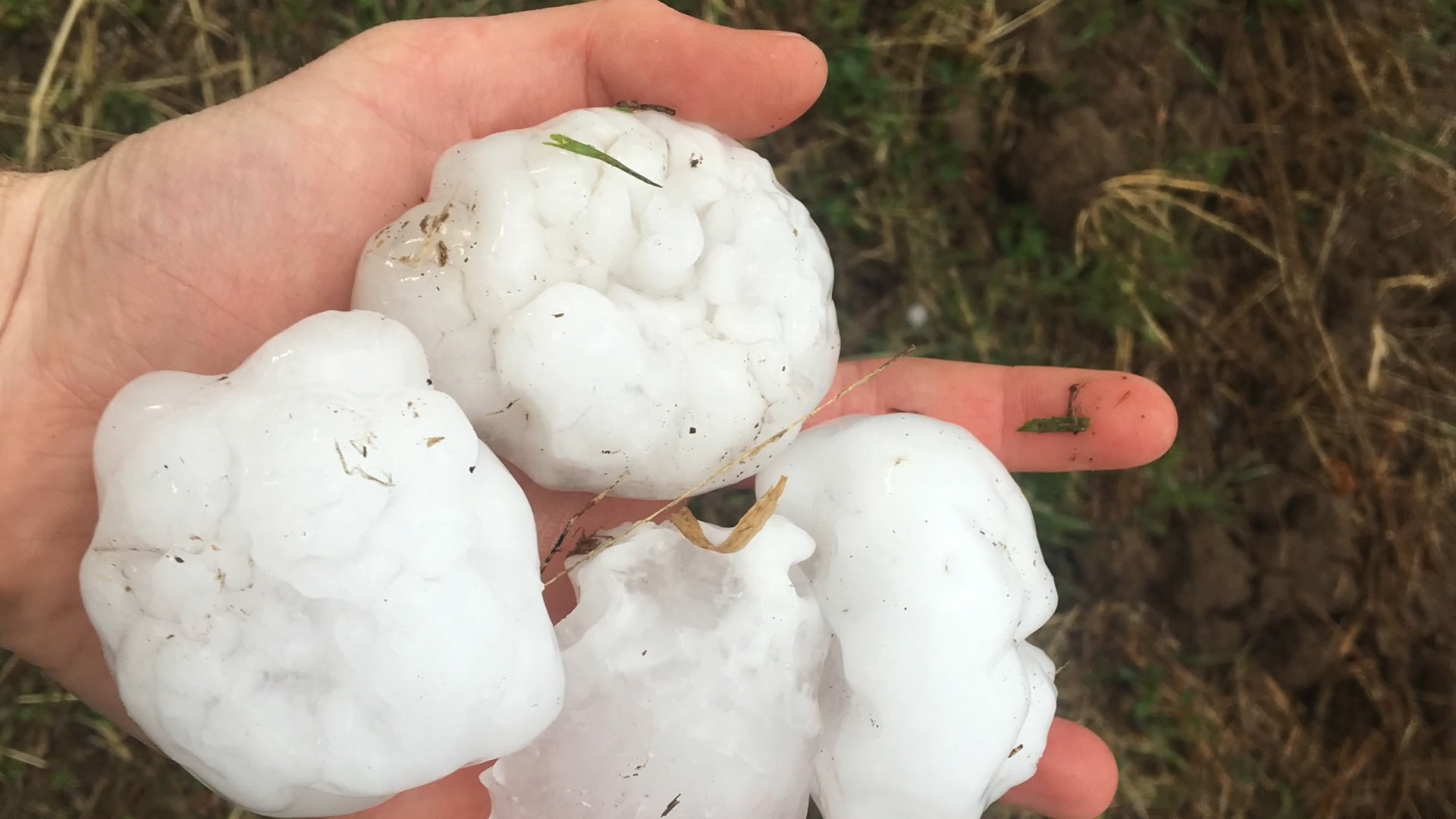 softball sized hail doesnt just hurt it can break car windows softball size hail