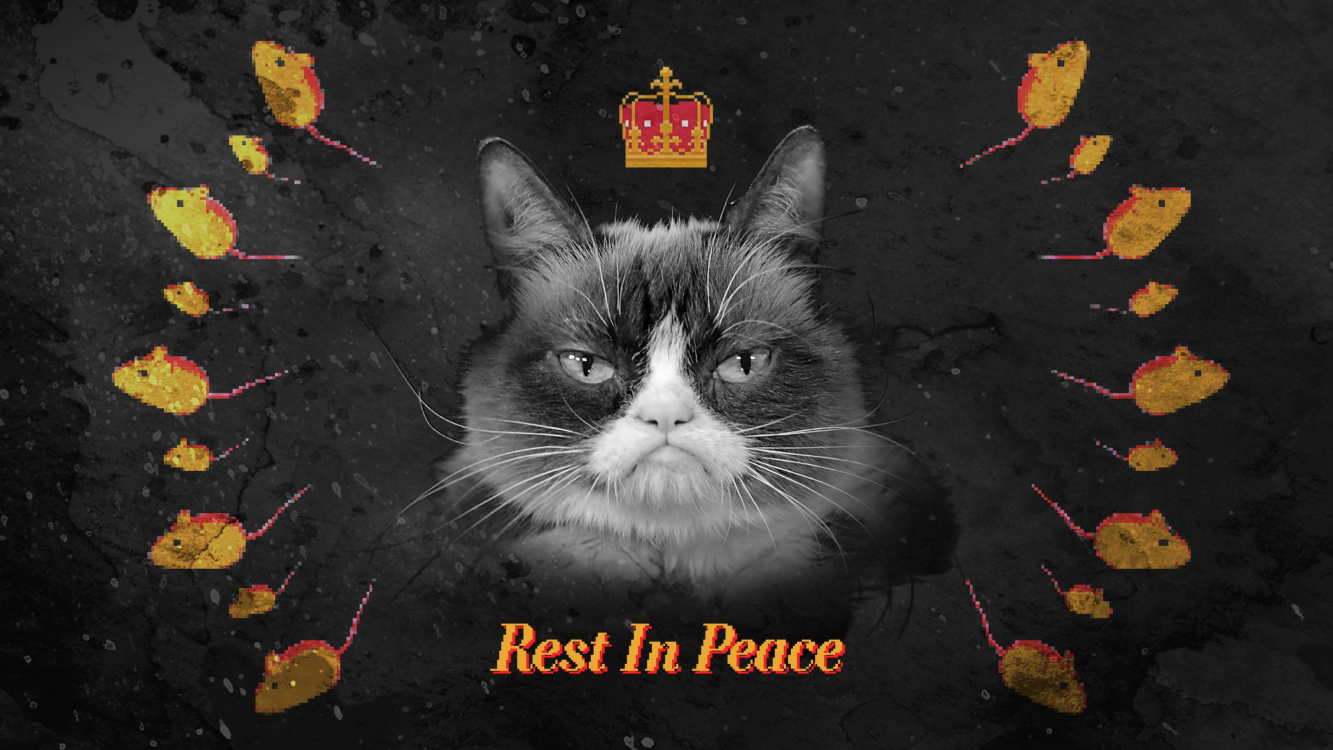 Grumpy Cat's Death Marks the End of the Joyful Internet