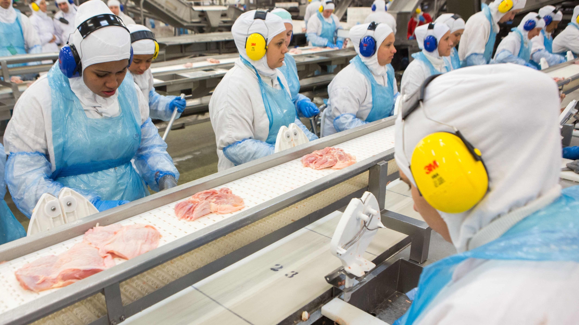 Cyberattack Hits JBS, World's Largest Meat Processor, 07/21/2024