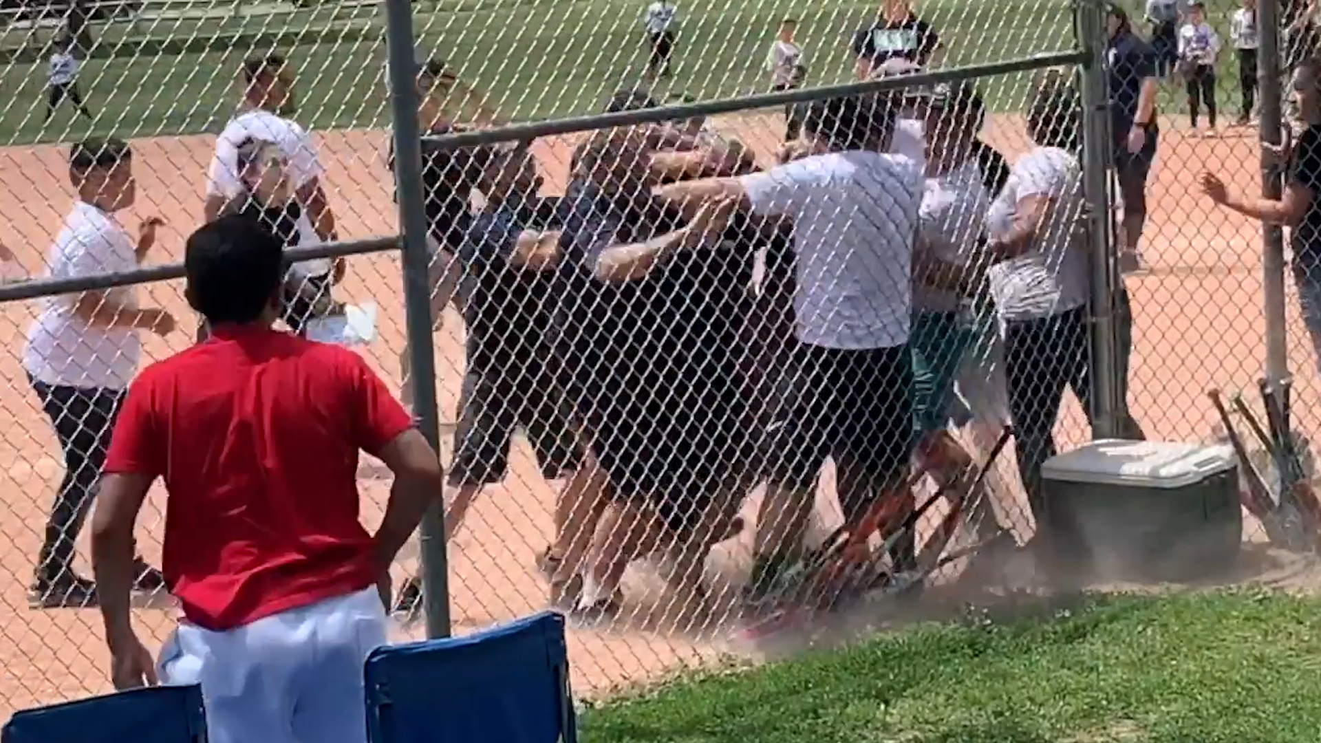 Video of coach, umpire fighting at Alabama youth baseball game