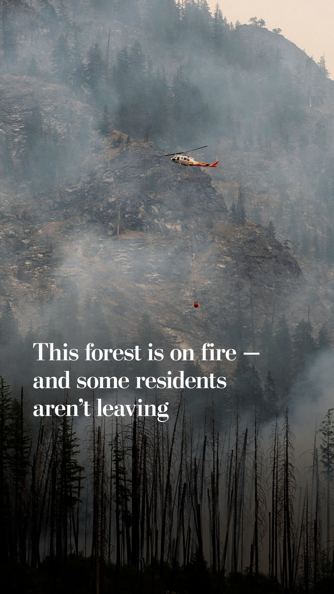 This forest is on fire — and some residents aren’t leaving, image size:1080x1920