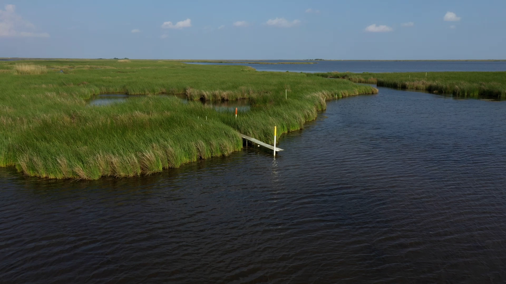 Long‐Term Carbon Sinks in Marsh Soils of Coastal Louisiana are at Risk to  Wetland Loss - Baustian - 2021 - Journal of Geophysical Research:  Biogeosciences - Wiley Online Library, image size:1920x1080