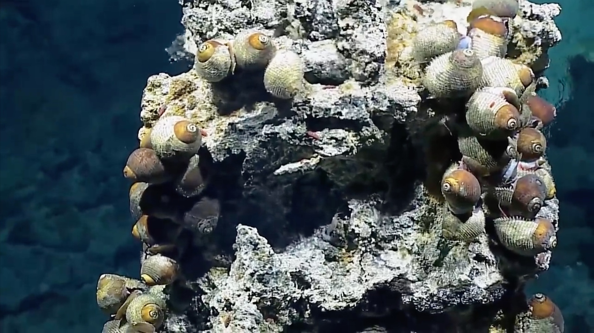 Looking for aliens on ocean worlds: 'You'd be in denial to believe