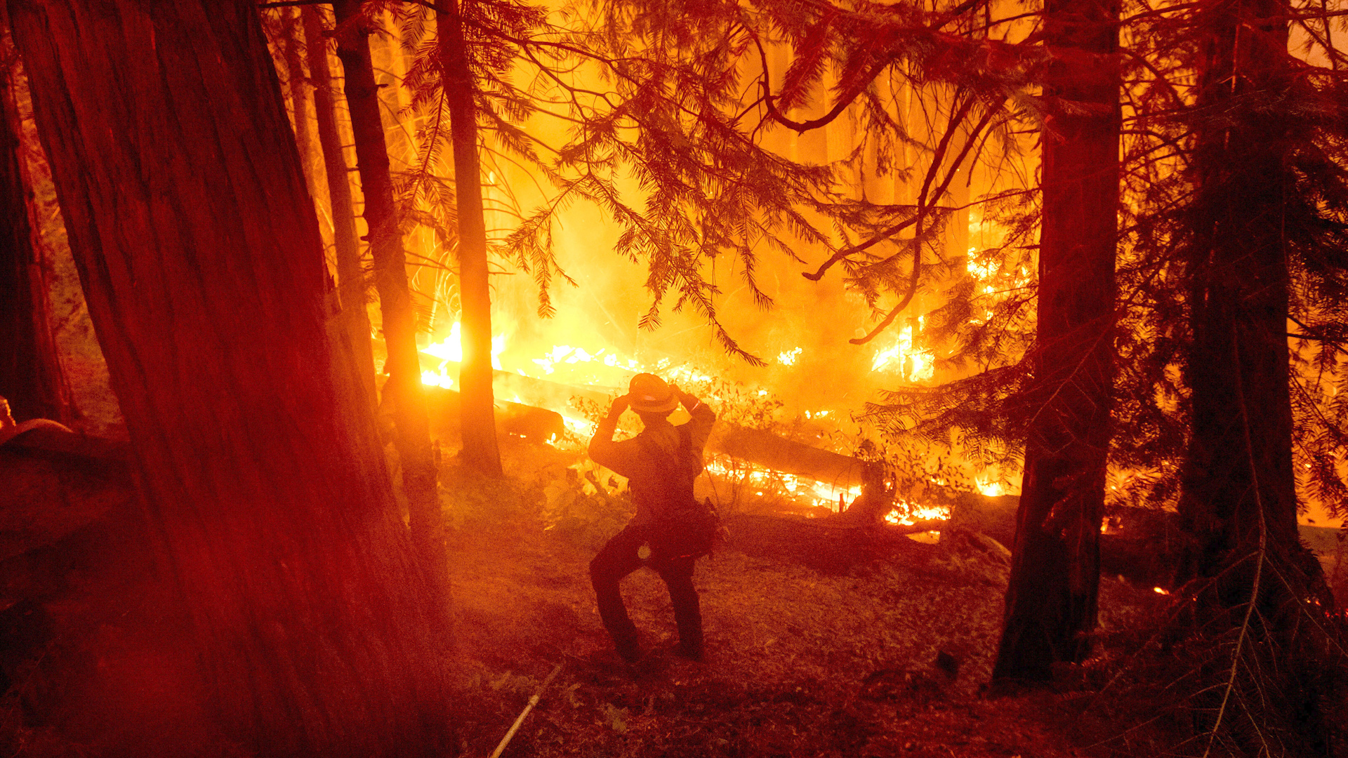 The Energy 202 California S Fires Are Putting A Huge Amount Of Carbon Dioxide Into The Air The Washington Post