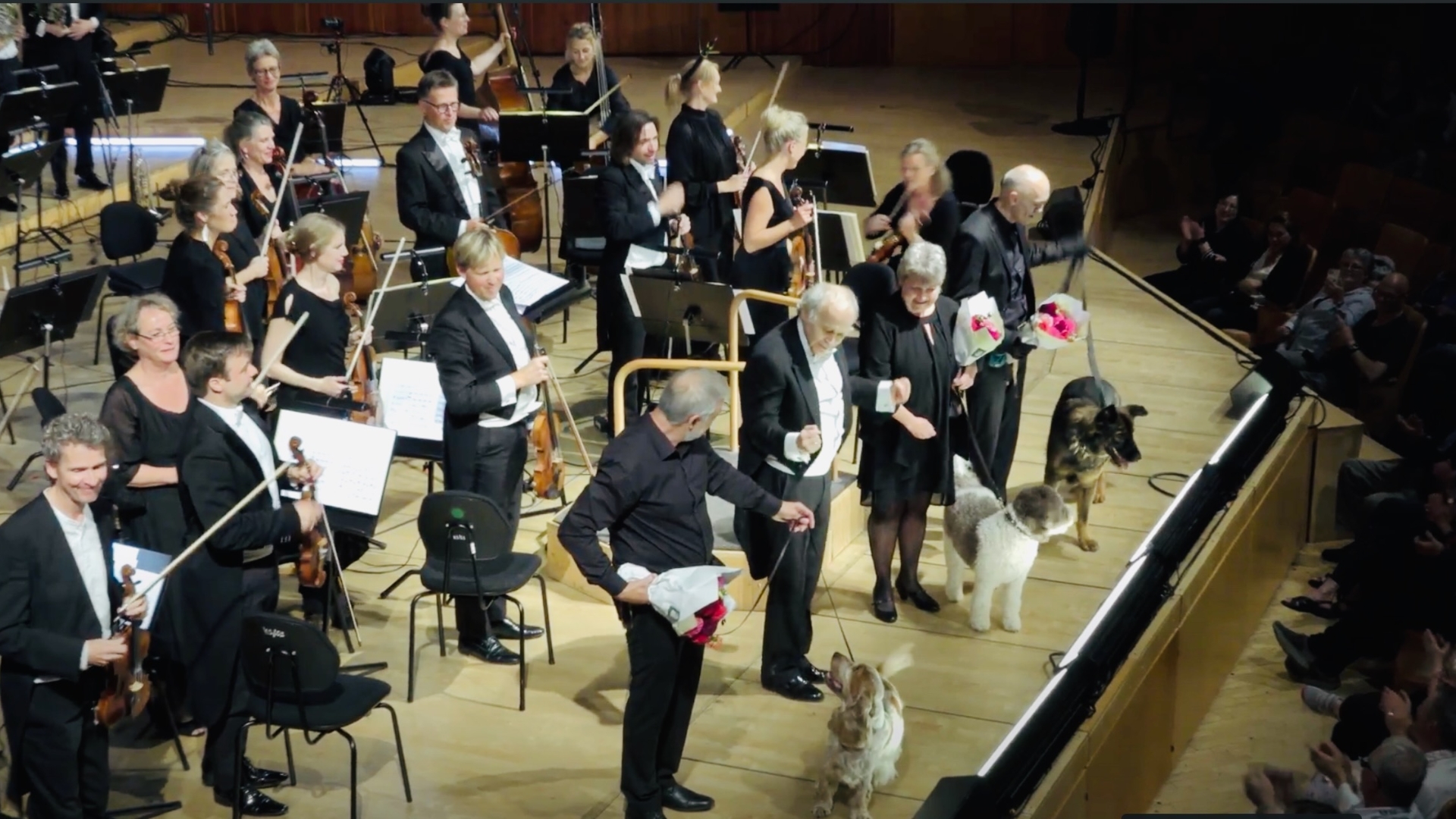 Dogs perform Mozart with Danish orchestra