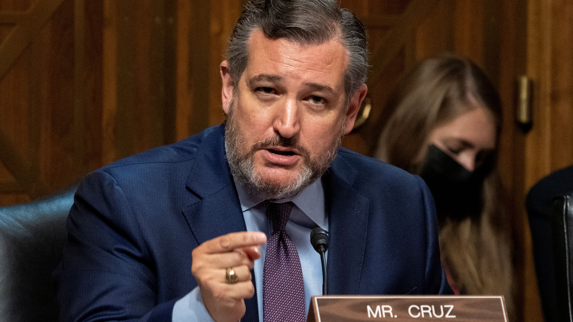 Cruz questions legal experts on voter ID laws