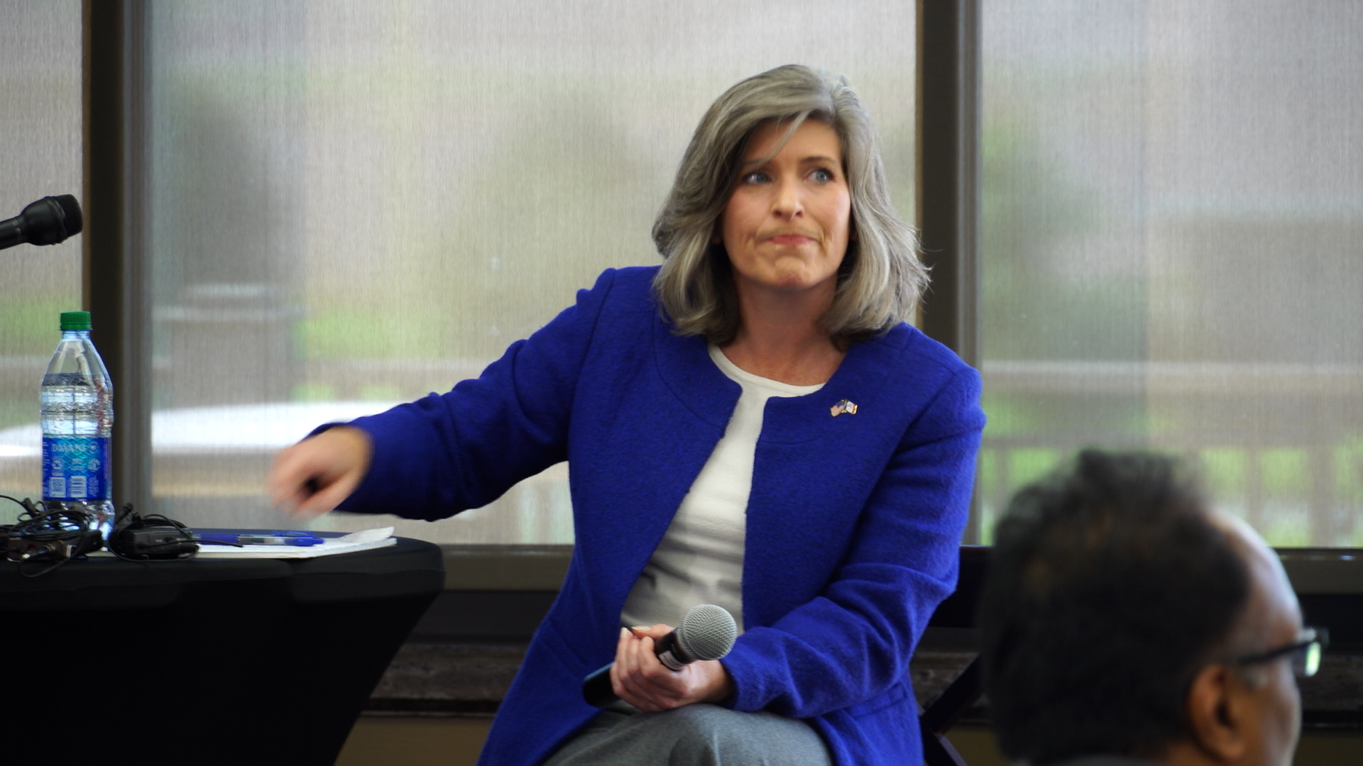 Image result for joni ernst