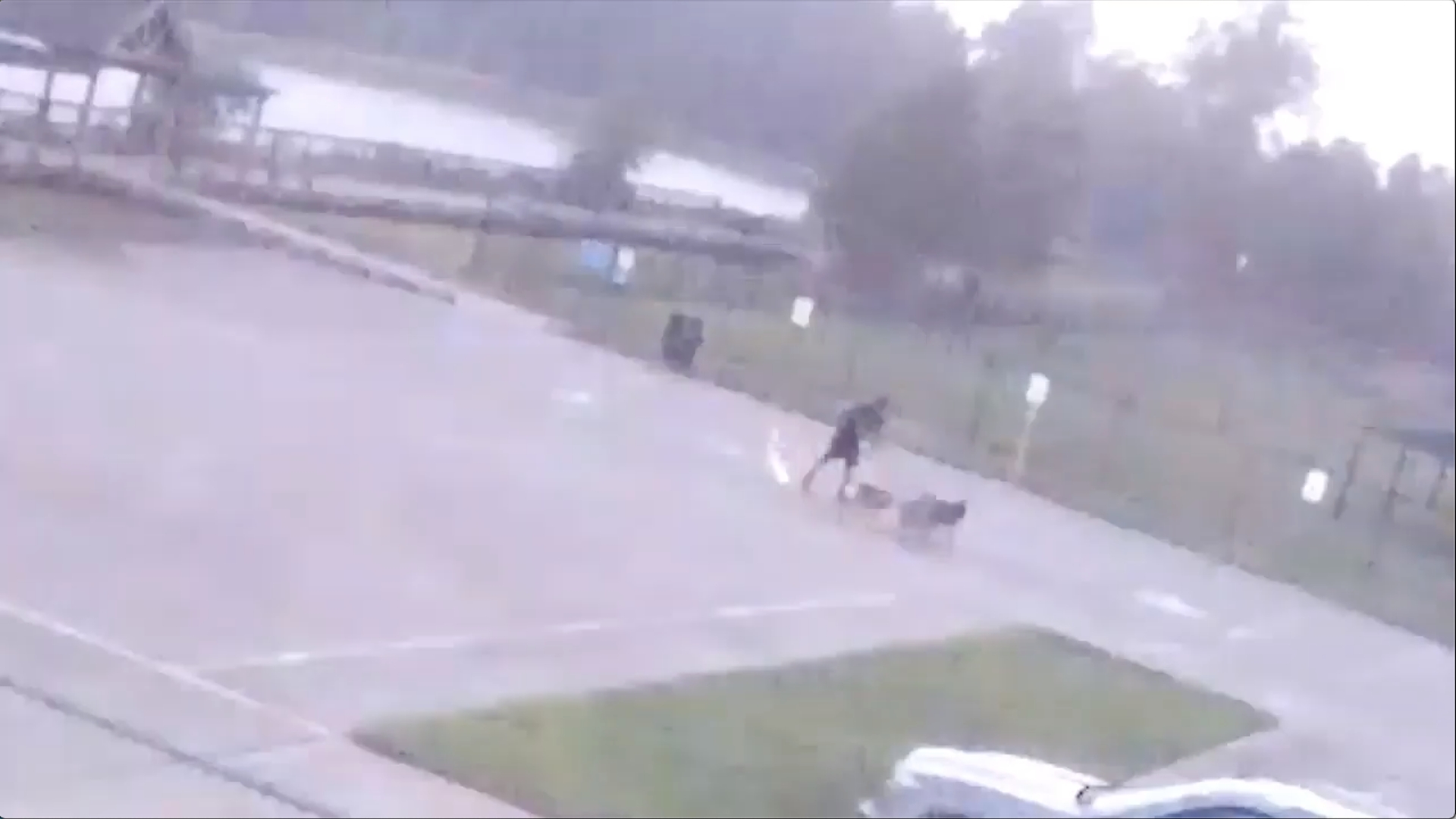 Watch As Texas Man Gets Hit By Lightning While Walking His Dogs - 