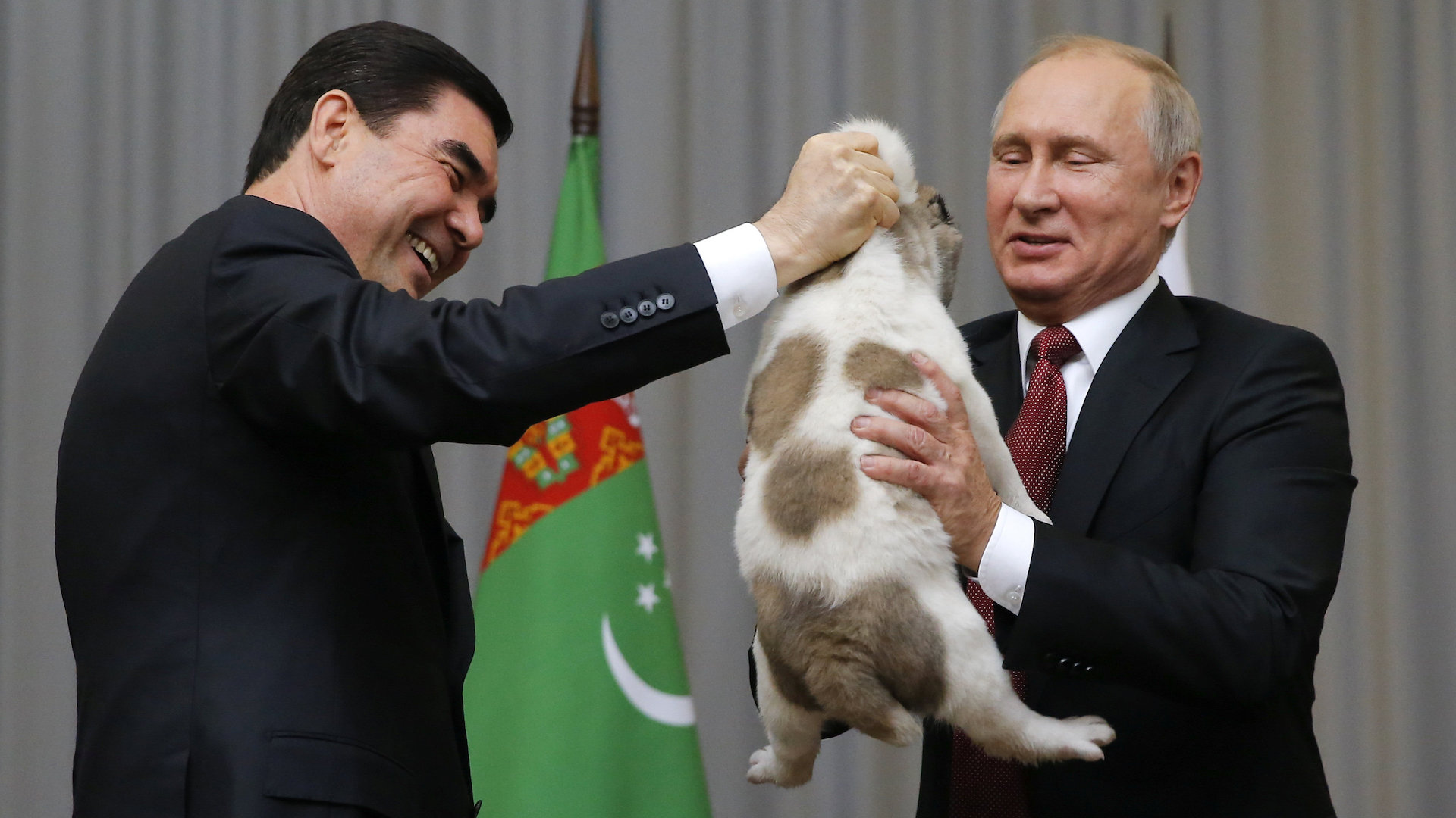 What S With World Leaders Giving Vladimir Putin Puppies As Gifts The Washington Post
