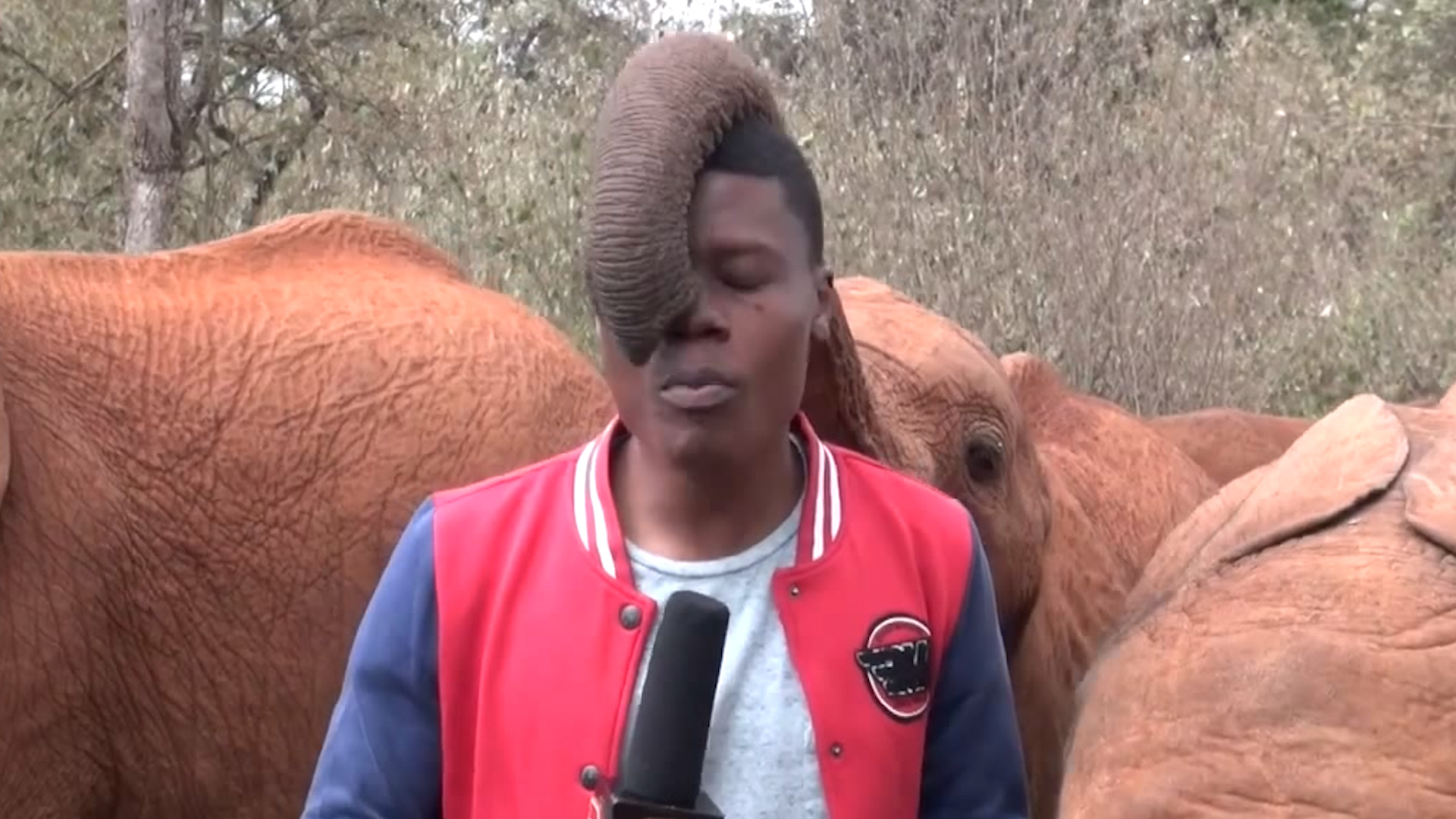 Elephant in Kenya interrupts reporter Alvin Kaunda in viral video - The  Washington Post