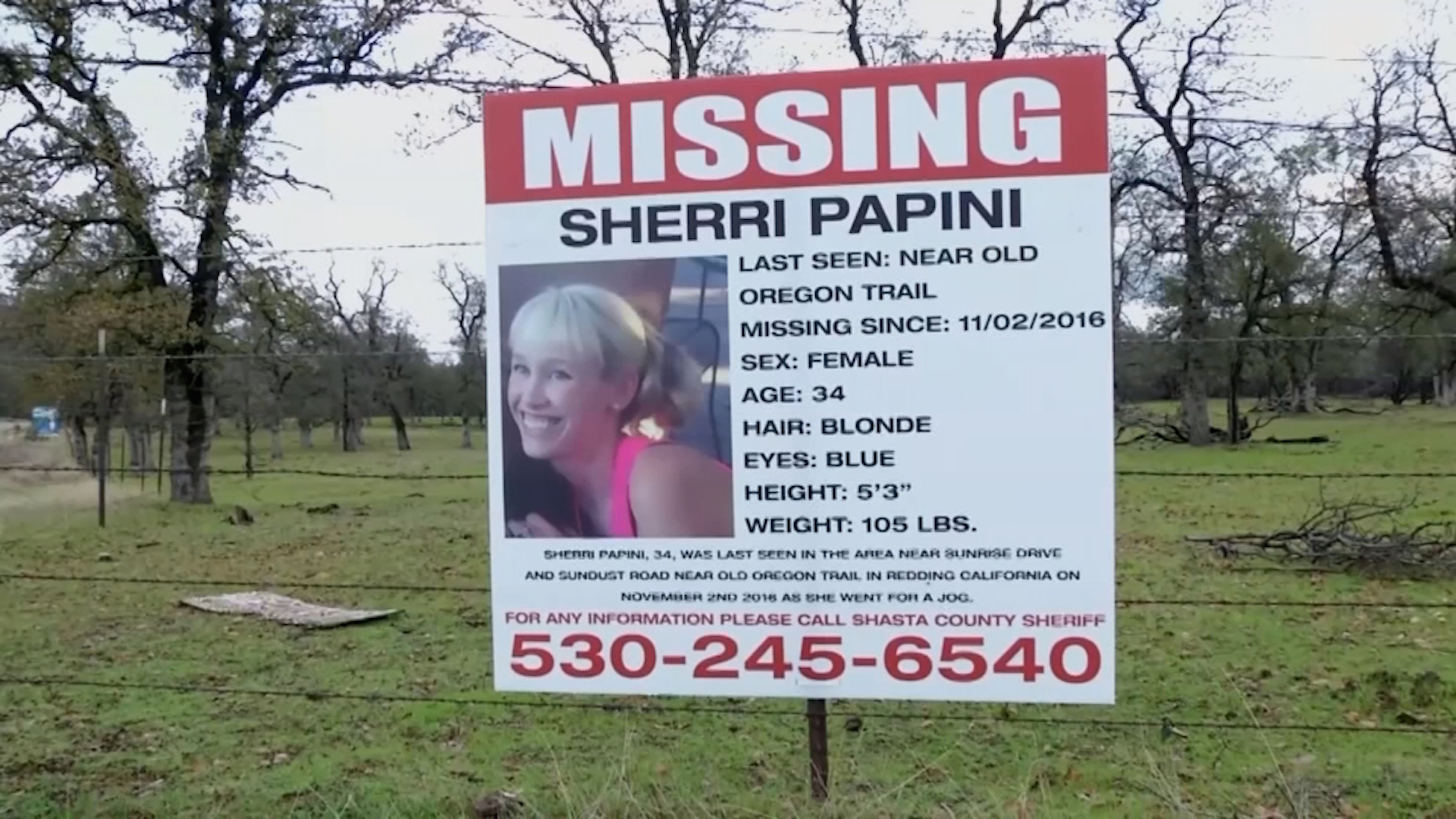 Missing Calif. jogger found alive after 22 days