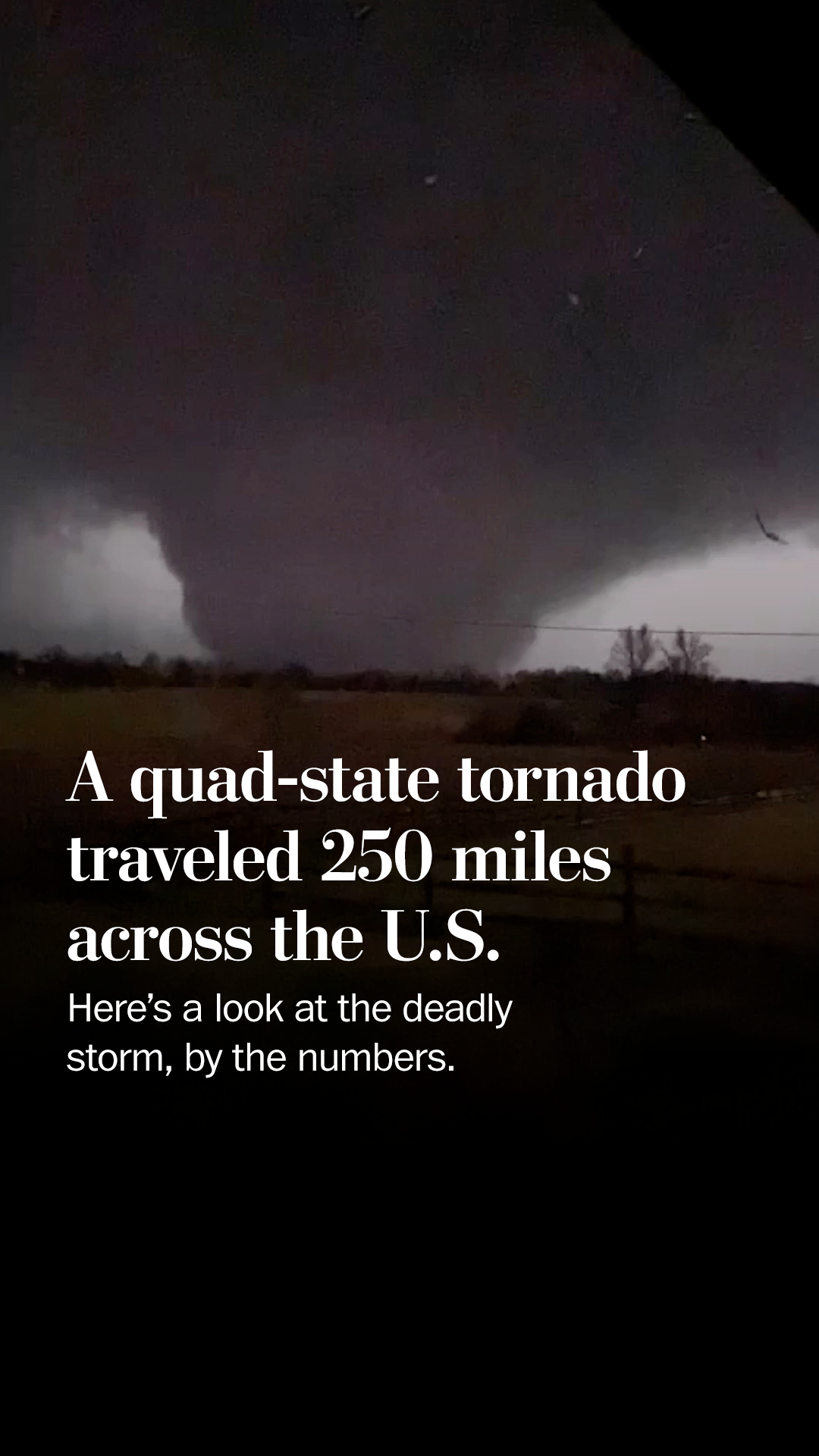 Why the name Tornado?