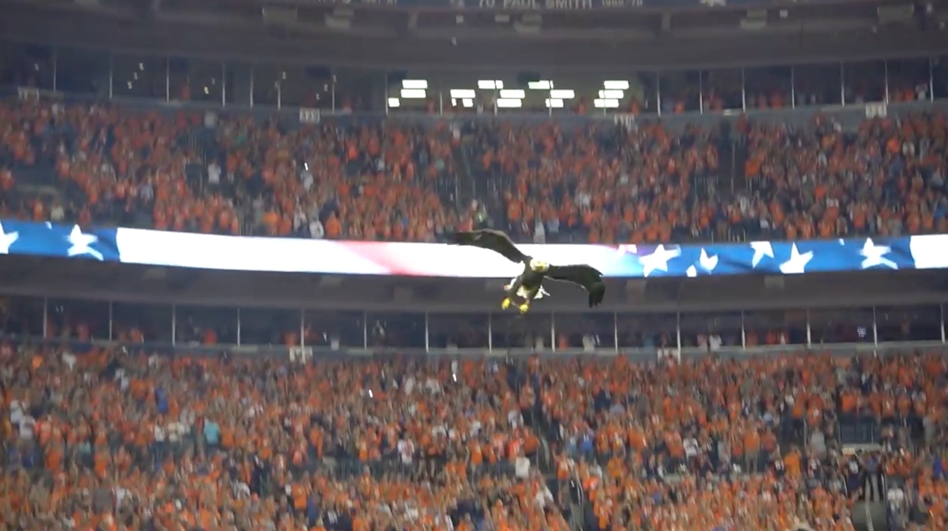 Challenger the Bald Eagle Flies During 9/11 Memorial 