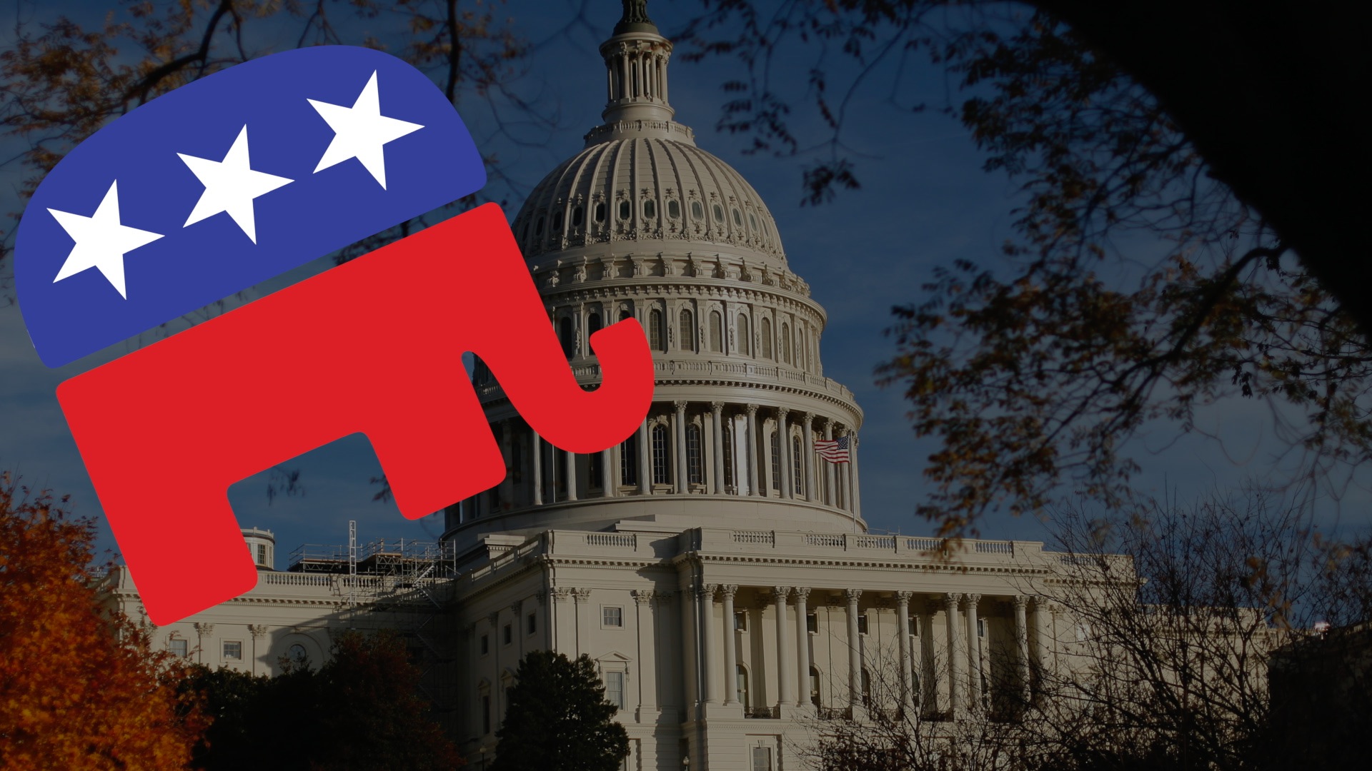 Government bodies. США Капитолий и флаг Библия. Governmental.