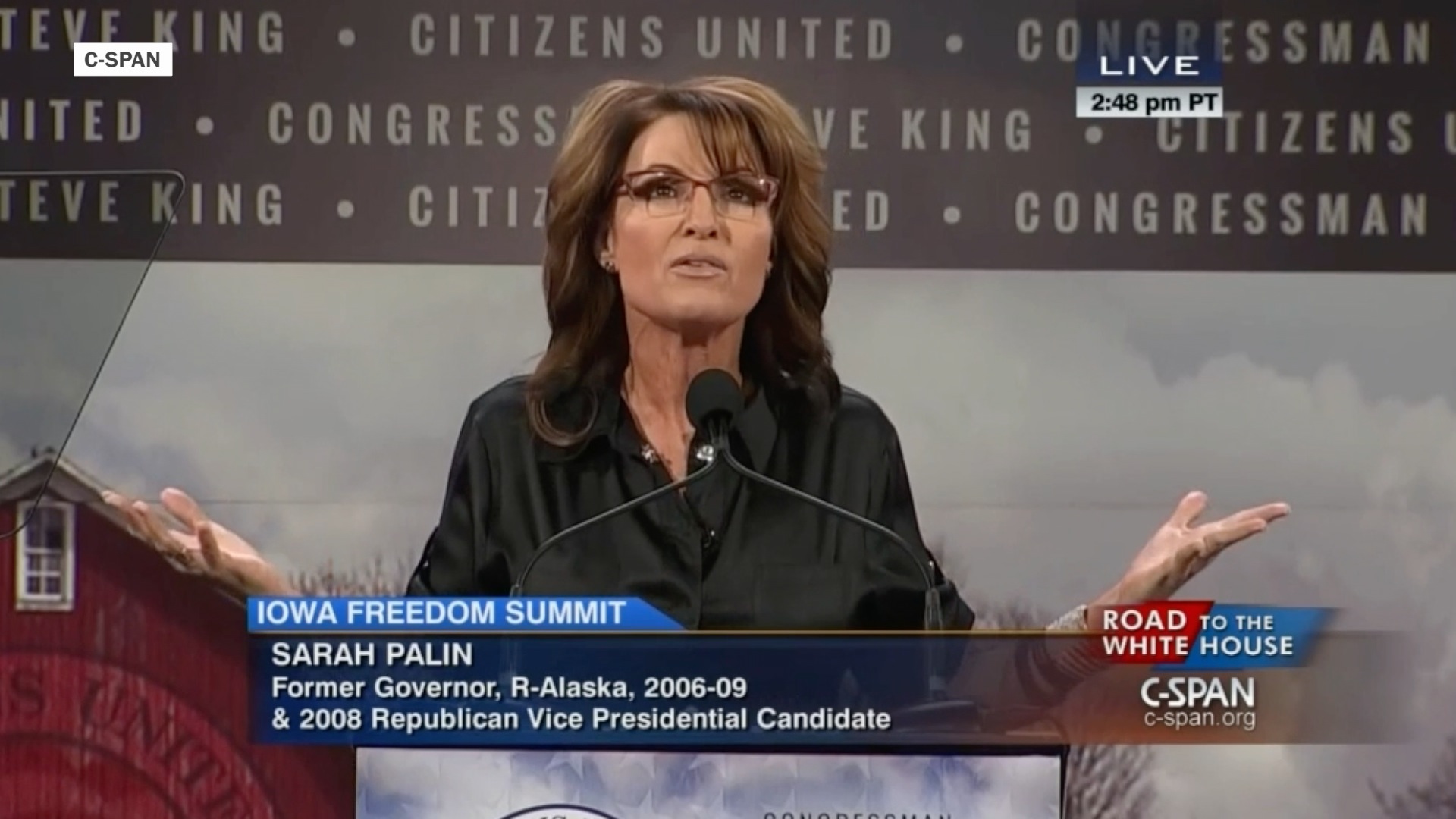 Opinion The sacrifice of Sarah Palin The Washington Post