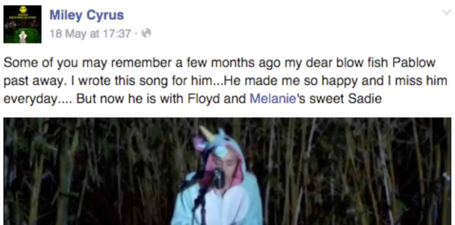 Miley Cyrus Cries Over Dead Fish The Washington Post