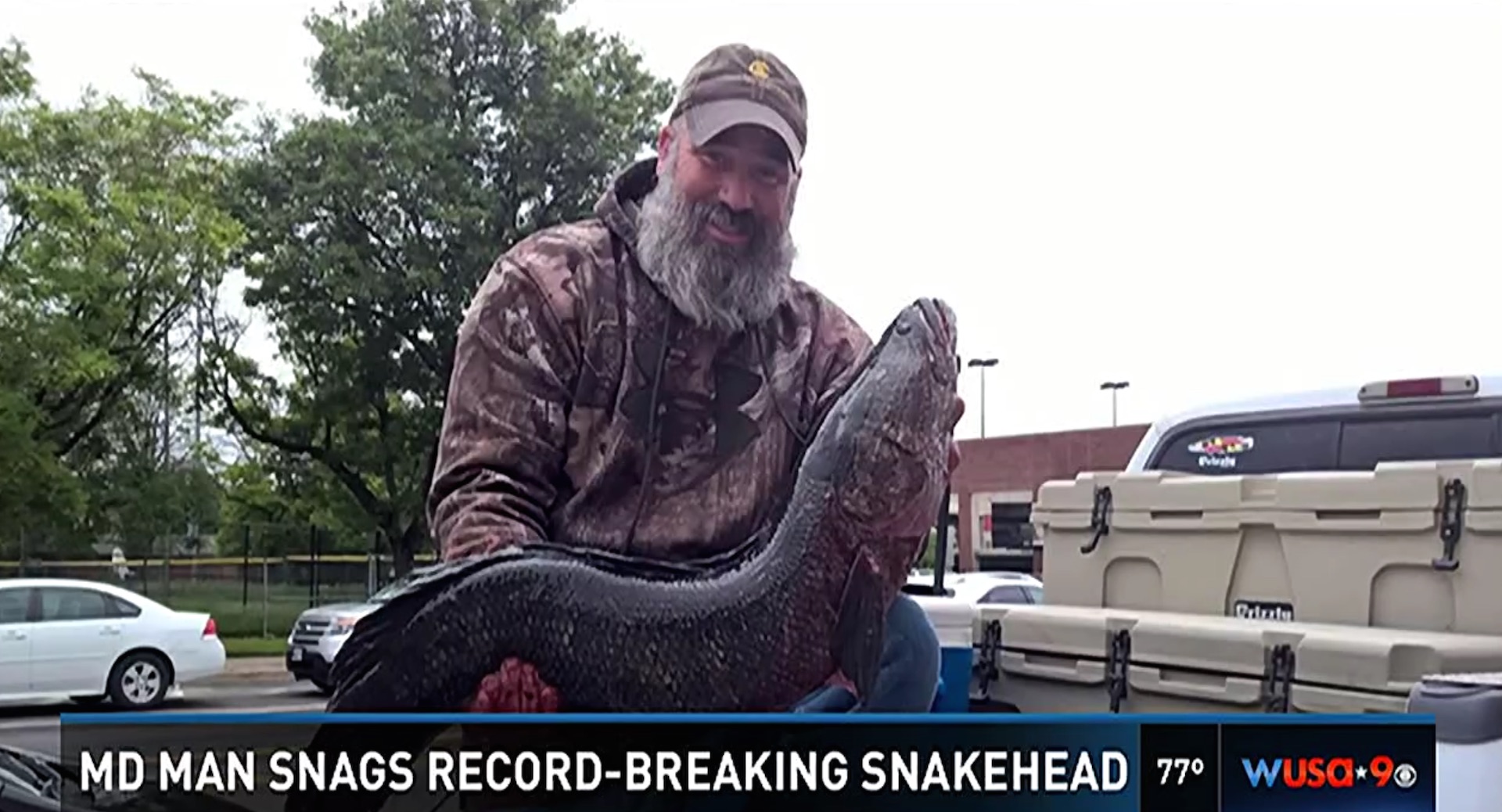At first it was shocking': Angler nabs an 18-pound snakehead fish in the  Potomac - The Washington Post