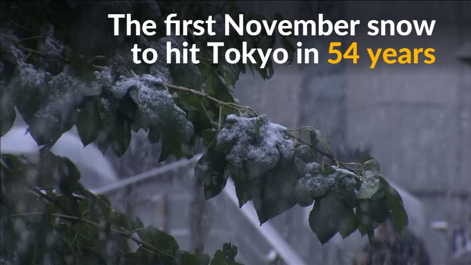 Snow Falls in Tokyo for the First Time in November Since 1962