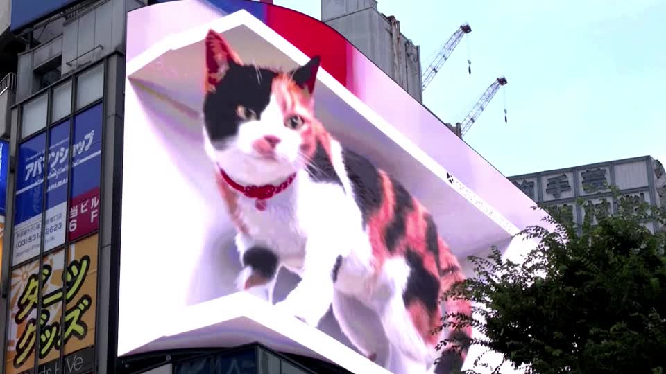 The creative potential of 3D billboards